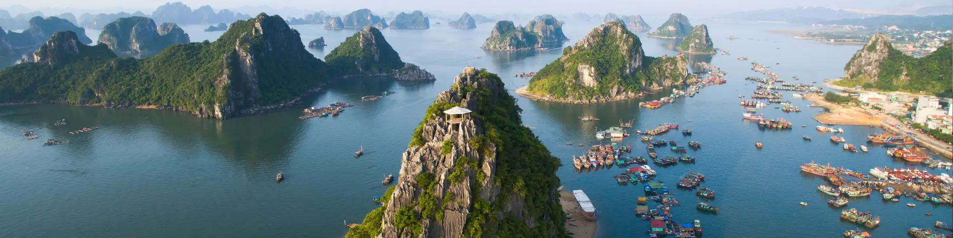 Employment services in Vietnam