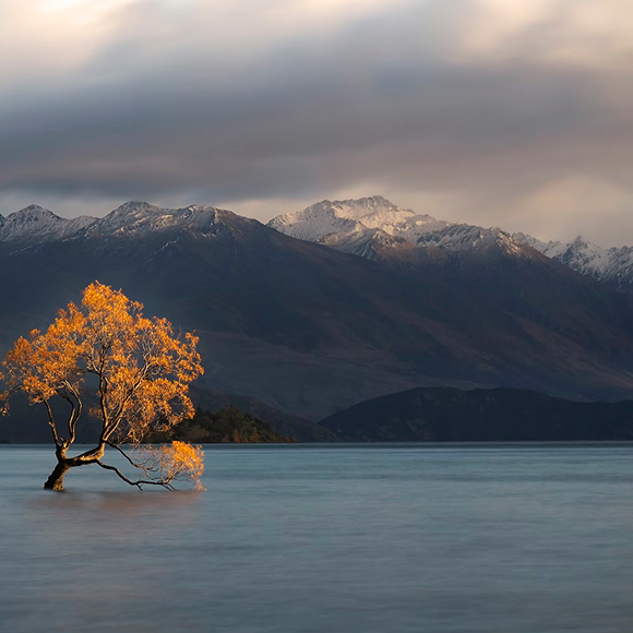 New Zealand